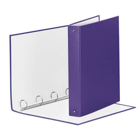 Raccoglitore Esselte Meeting a 4 anelli  22x30cm dorso 4cm - 395792950
