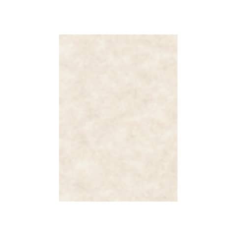 Carta pergamenata Decadry Linea Corporat Conf. 100 fogli - T105002