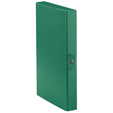 Cartelle portaprogetti Esselte C24 EUROB verde - 390324180