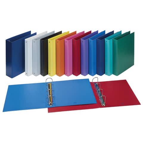 Raccoglitore FAVORIT Europa 29,5x32 cm 4 100460442
