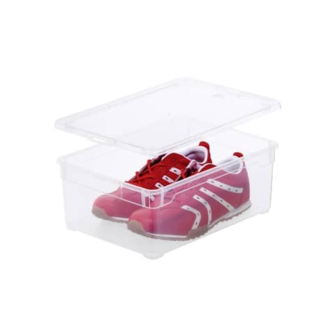 Contenitore Rotho Clear Box in PPL 10 L  F707804